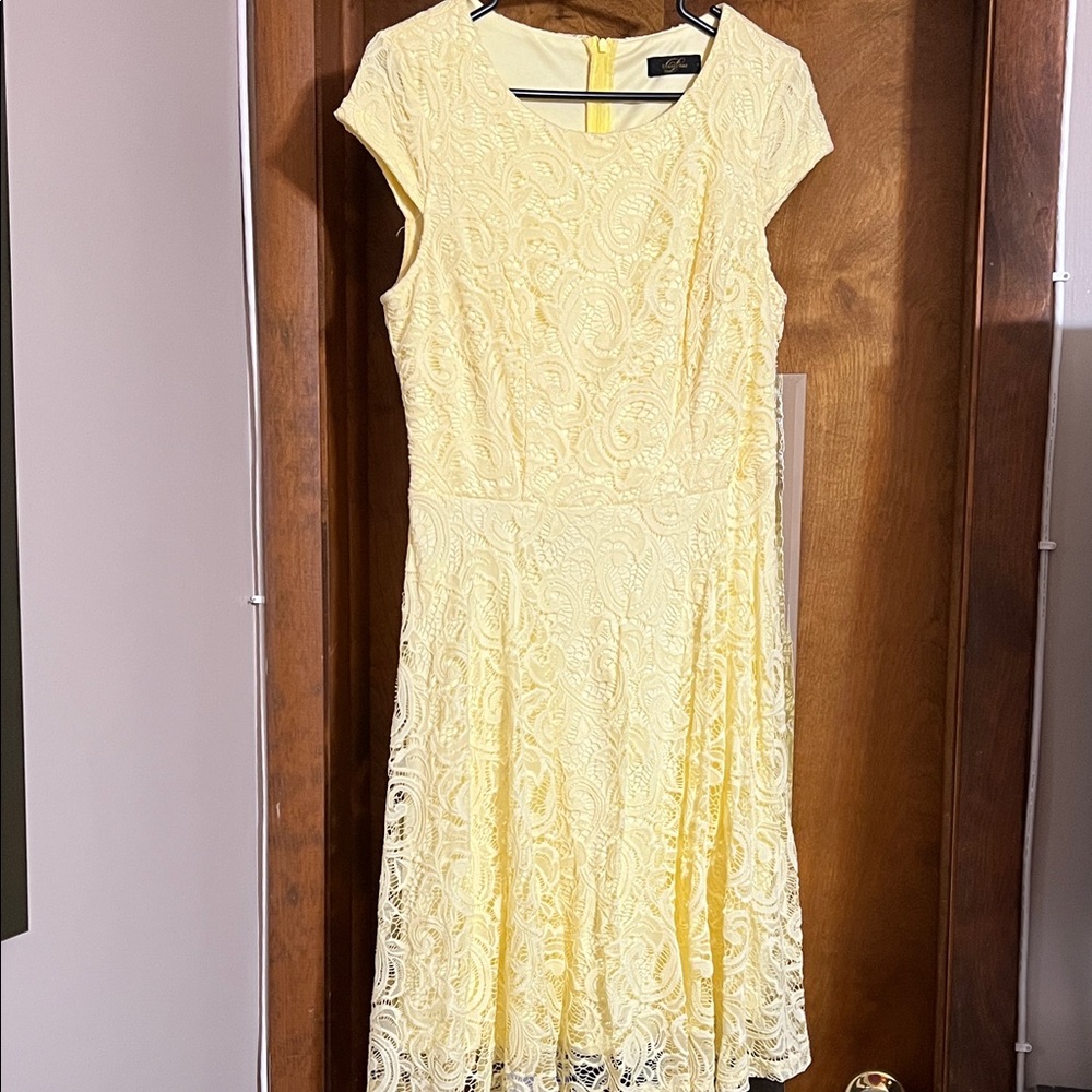 Lace Fit & Flare Midi Dress in Light Yellow